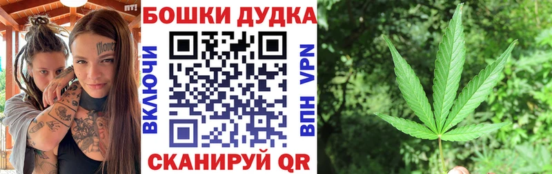 Магазины продажи наркотиков Богородицк Марихуана АМФ Меф мяу мяу Альфа ПВП