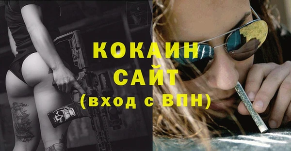 гидропоника Абаза