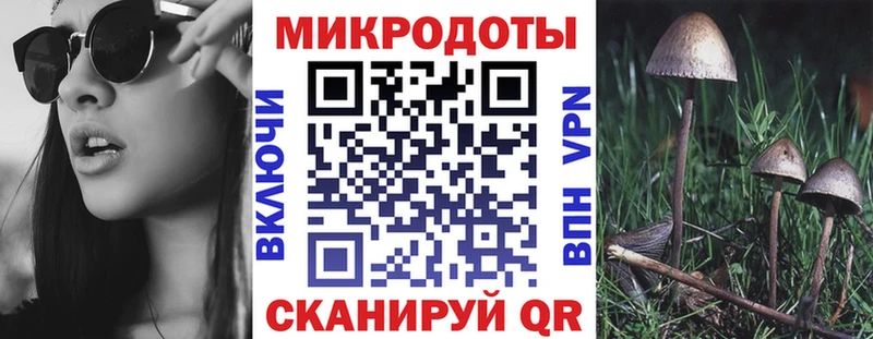 Псилоцибиновые грибы MAGIC MUSHROOMS купить сайты Богородицк